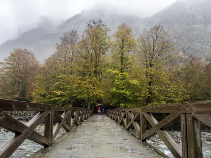 Framed Print : Persons with umbrellas that walk on a bridge of wood that crosses a river in a forest in autumn Framed Print : Persons with umbrellas that walk on a bridge of wood that crosses a river in a forest in autumn