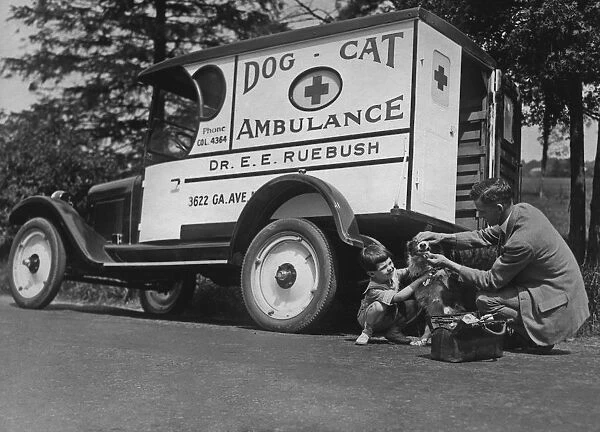 Pet Ambulance for dogs and cats