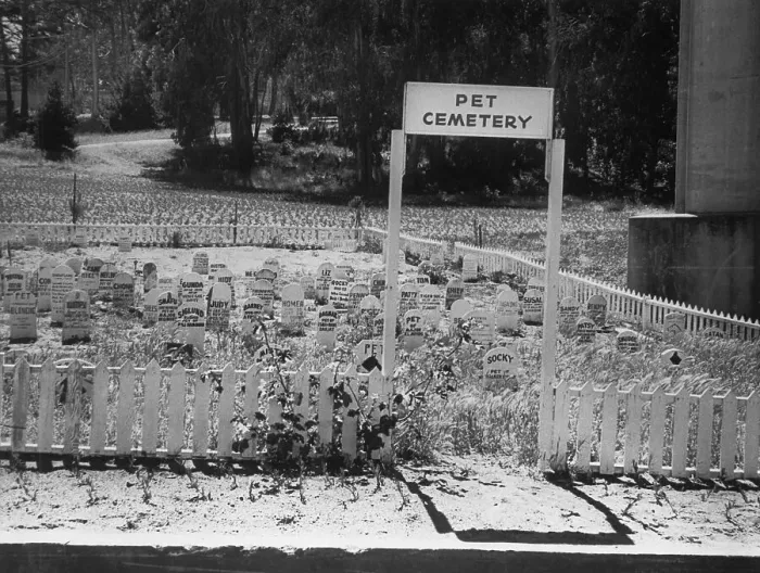 Framed Print : Pet Cemetery at Presidio Base Framed Print : Pet Cemetery at Presidio Base