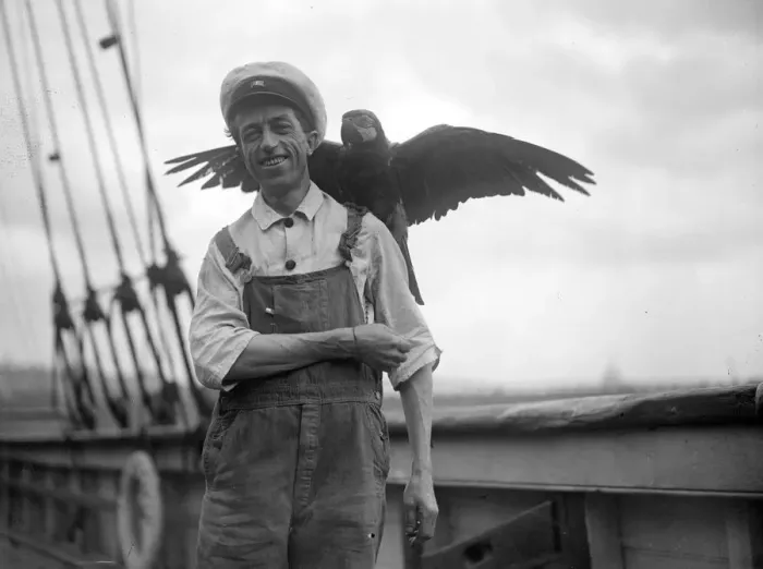 Framed Print : Pet Macaw. 3rd June 1929: A pet macaw on board the Friendship Framed Print : Pet Macaw. 3rd June 1929: A pet macaw on board the Friendship