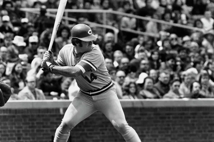 Framed Print : Pete Rose Against Chicago Cubs Framed Print : Pete Rose Against Chicago Cubs