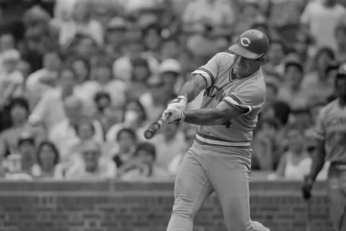 Framed Print : Pete Rose Getting Record-Tying Hit Framed Print : Pete Rose Getting Record-Tying Hit