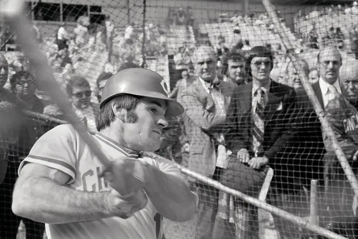 Framed Print : Pete Rose Swinging Bat; Headshoulders Framed Print : Pete Rose Swinging Bat; Headshoulders
