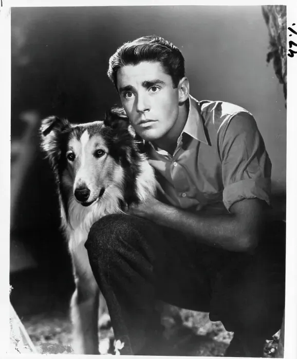 Framed Print : Peter Lawford In Son Of Lassie Framed Print : Peter Lawford In Son Of Lassie