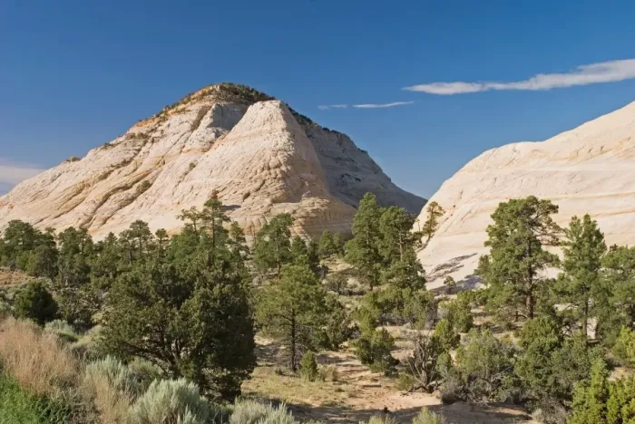 Framed Print : Petrified Sand Dunes In Grand Staircase-Escalante National Monument Framed Print : Petrified Sand Dunes In Grand Staircase-Escalante National Monument