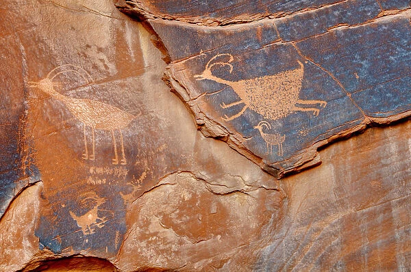 Petroglyph in Monument Valley
