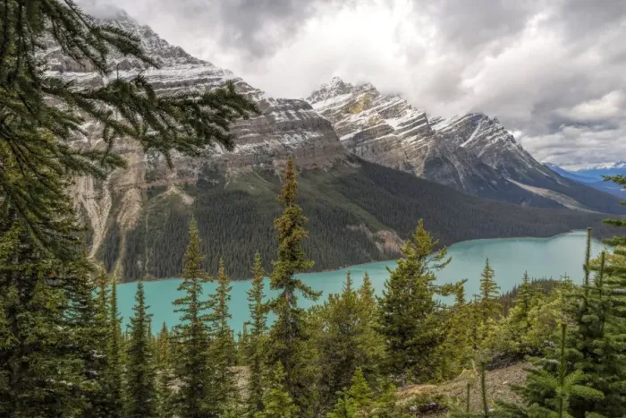 Framed Print : Peyto Lake in Banff National Park Framed Print : Peyto Lake in Banff National Park