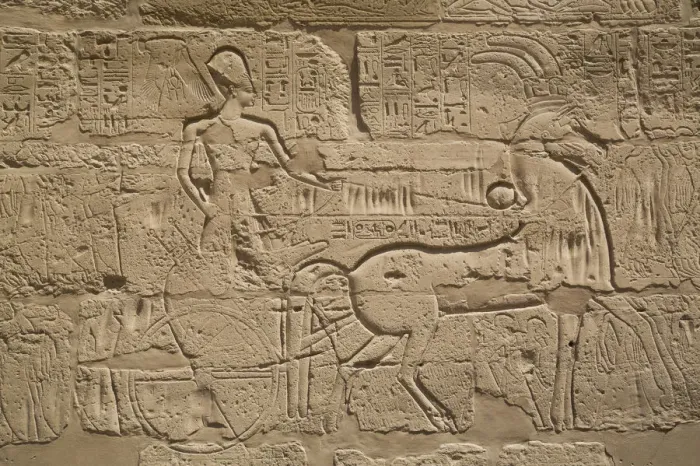 Framed Print : Pharaoh Tuthmose III on a chariot, Karnak Temple Complex Framed Print : Pharaoh Tuthmose III on a chariot, Karnak Temple Complex