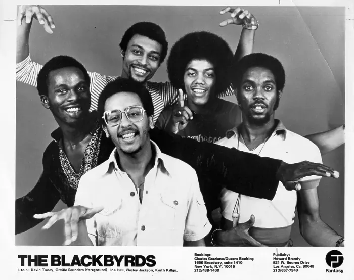 Framed Print : Photo of Blackbyrds Framed Print : Photo of Blackbyrds