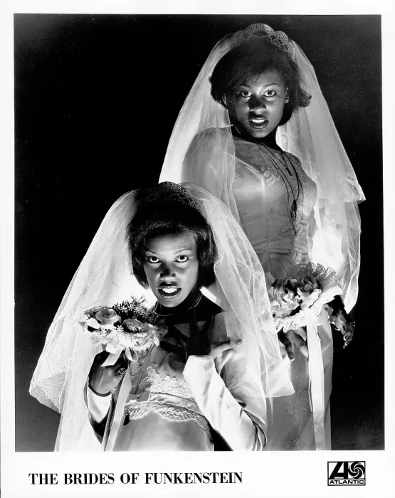 Framed Print : Photo of Brides of Funkenstein