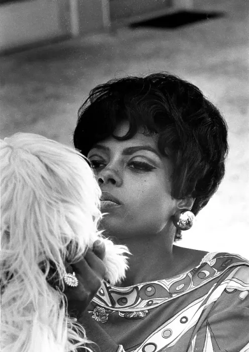 Framed Print : Photo of Diana Ross Framed Print : Photo of Diana Ross