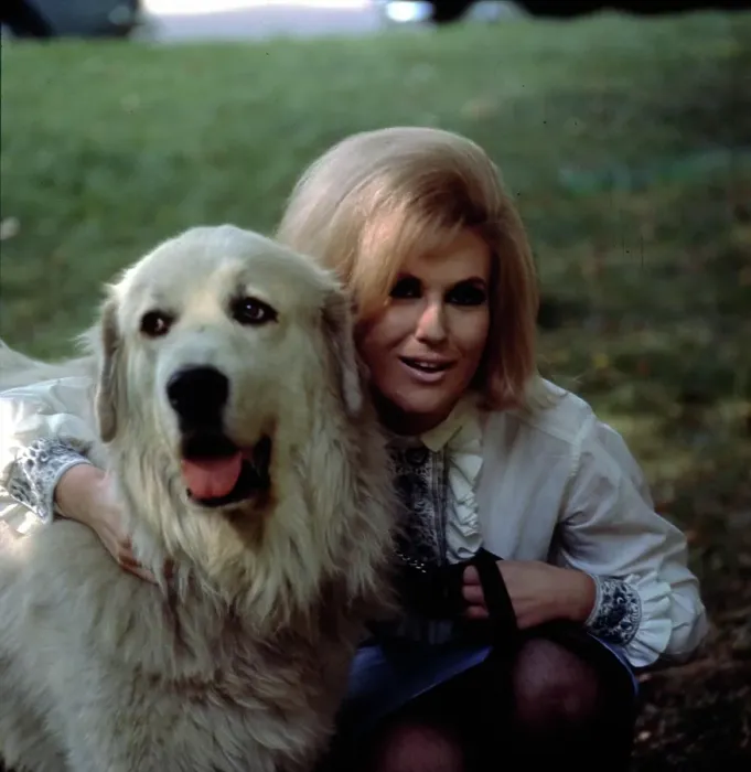 Framed Print : Photo of Dusty Springfield