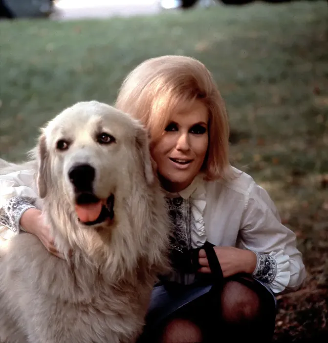 Framed Print : Photo of Dusty Springfield