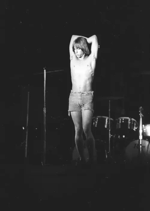 Framed Print : Photo of Iggy Pop Framed Print : Photo of Iggy Pop