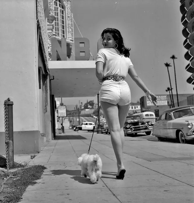 Framed Print : Photo of Los Angeles Framed Print : Photo of Los Angeles
