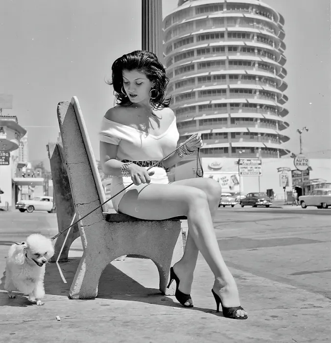 Framed Print : Photo of Los Angeles Framed Print : Photo of Los Angeles