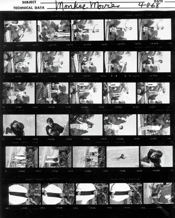 Framed Print : Photo of Monkees