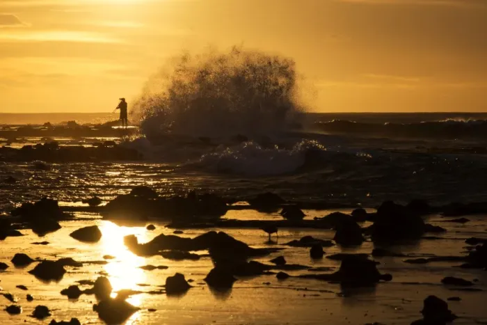 Framed Print : A photographer and the big wave at Curio Bay Framed Print : A photographer and the big wave at Curio Bay