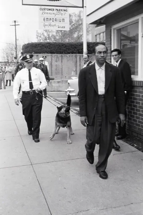 Framed Print : Photographer Followed by Police and Dog Framed Print : Photographer Followed by Police and Dog