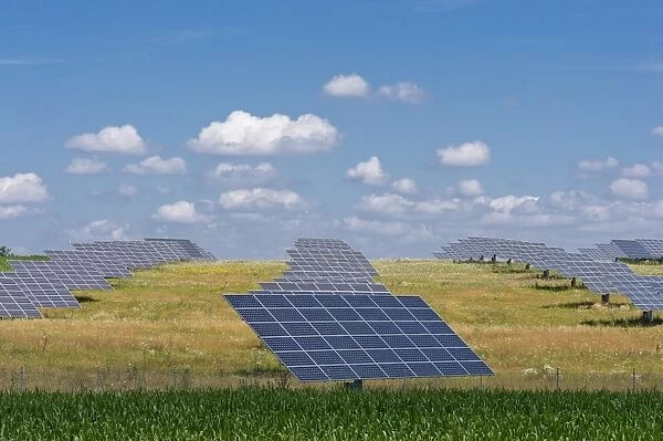 Photovoltaic site, solar modules on a meadow, solar power plant, Oening, Upper Palatinate, Bavaria, Germany