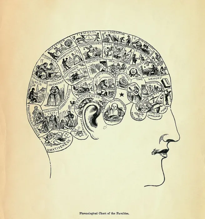 Framed Print : Phrenological Chart of The Human Faculties Framed Print : Phrenological Chart of The Human Faculties