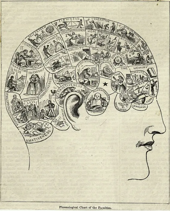 Framed Print : Phrenological Chart Showing Mental Functions Framed Print : Phrenological Chart Showing Mental Functions