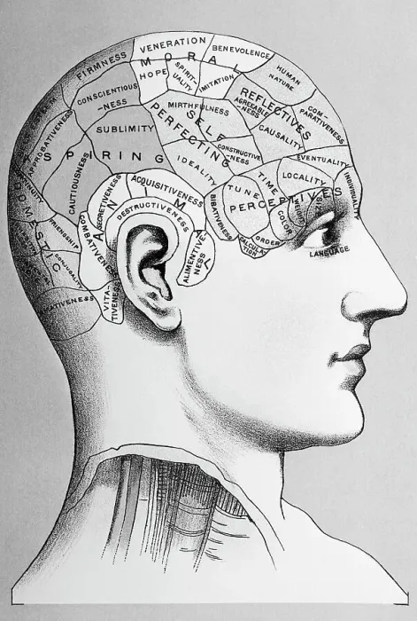Framed Print : Phrenological Diagram of Human Skull Framed Print : Phrenological Diagram of Human Skull