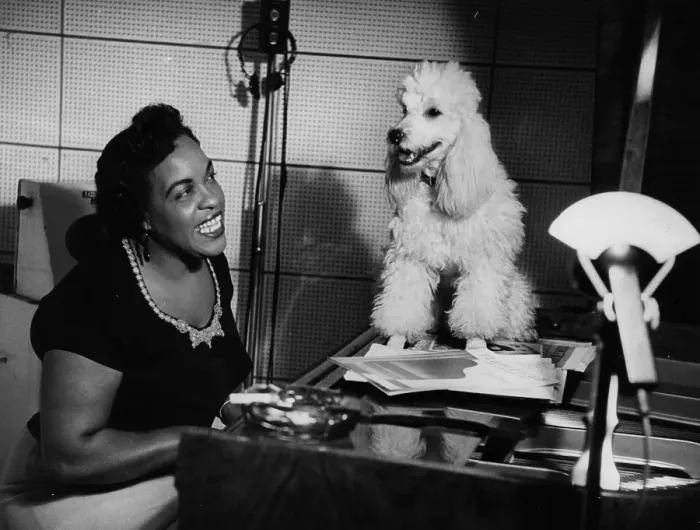 Framed Print : Pianist And Poodle