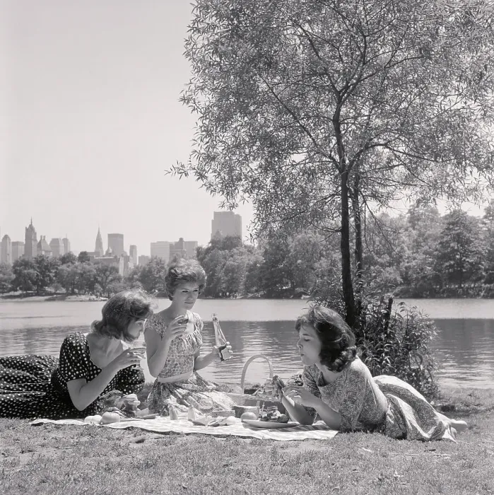 Framed Print : Picnicking in Central Park Framed Print : Picnicking in Central Park