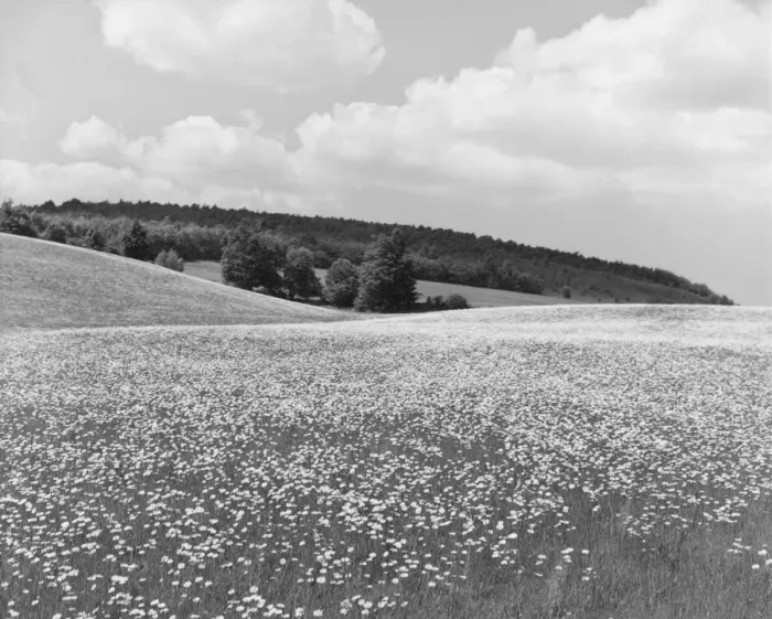 Framed Print : Picturesque Landscape Framed Print : Picturesque Landscape