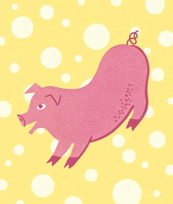 Framed Print : Pig Framed Print : Pig