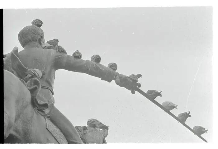 Framed Print : Pigeons atop Statue Framed Print : Pigeons atop Statue