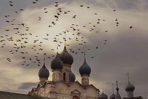 Pigeons flock over Rostov Kremlin, Rostov, Russia