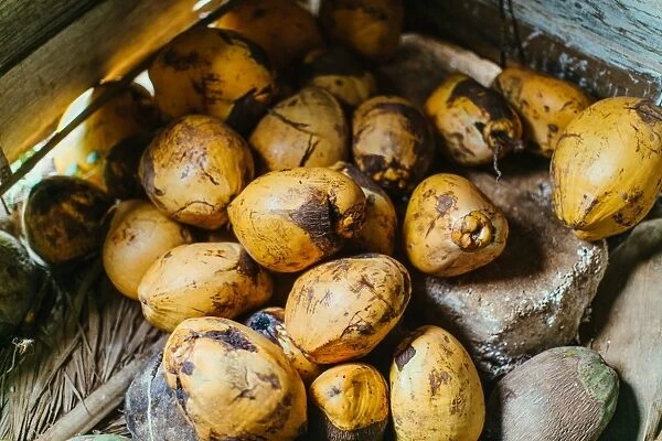 Pile of Coconuts in Vinales, Cuba