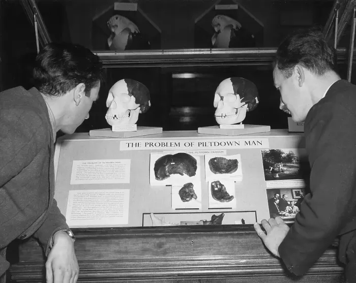 Framed Print : Piltdown Man Display Framed Print : Piltdown Man Display