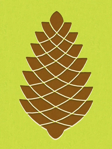 Pine Cone. http: /  / csaimages.com / images / istockprofile / csa_vector_dsp.jpg