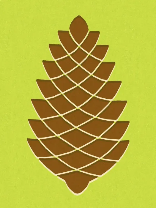 Framed Print : Pine Cone. http: / / csaimages.com / images / istockprofile / csa_vector_dsp.jpg Framed Print : Pine Cone. http: / / csaimages.com / images / istockprofile / csa_vector_dsp.jpg