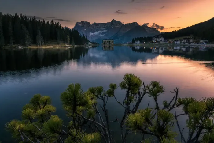 Framed Print : Pines tree at Lake Misurina, Dolomites, Italy Framed Print : Pines tree at Lake Misurina, Dolomites, Italy