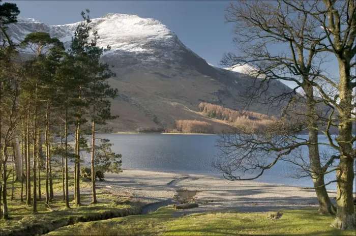 Framed Print : Pines trees with Buttermere