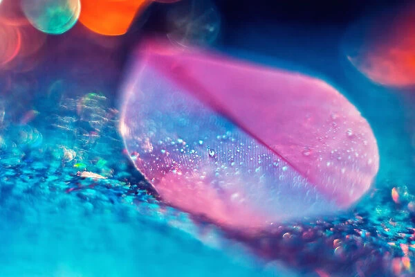 Pink birds feather on blue bokeh backdrop. Abstract artistic macro photo