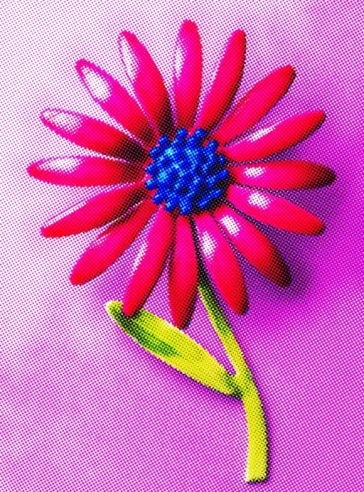Framed Print : Pink and Blue Flower Framed Print : Pink and Blue Flower