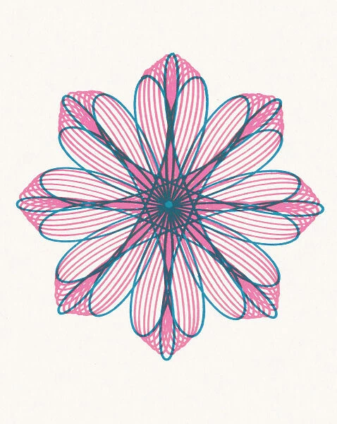 Pink and Blue Flower Shape Line Drawing