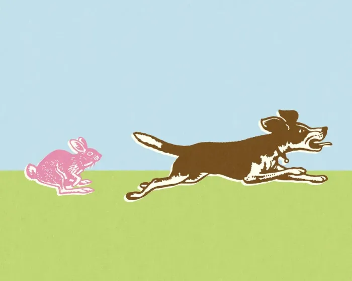 Framed Print : Pink Bunny Chasing Dog Framed Print : Pink Bunny Chasing Dog