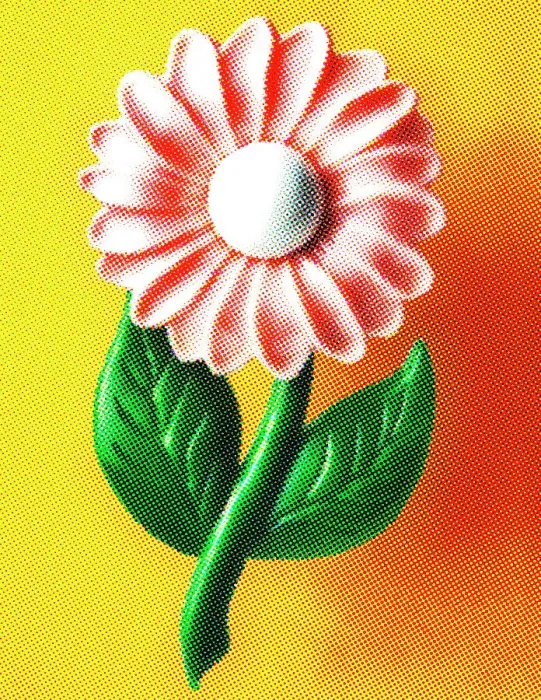 Framed Print : Pink Flower in Orange Background Framed Print : Pink Flower in Orange Background