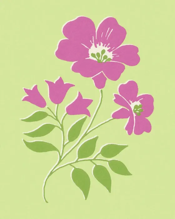 Framed Print : Pink Flowers Framed Print : Pink Flowers