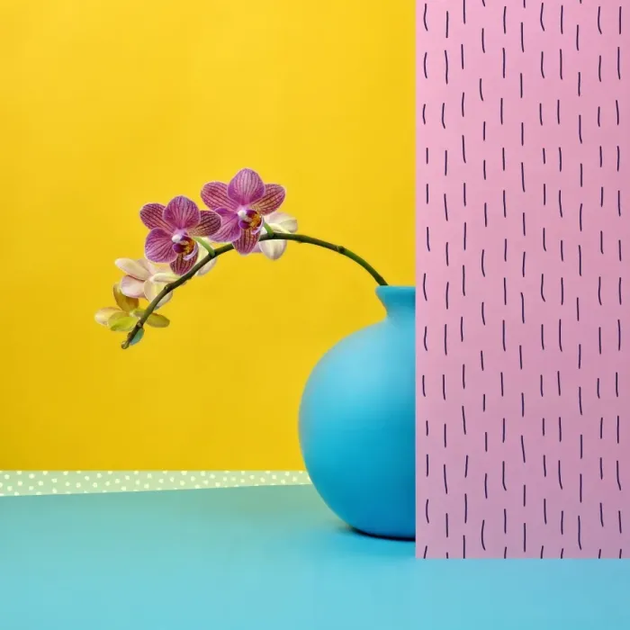 Framed Print : Pink orchid in blue vase Framed Print : Pink orchid in blue vase