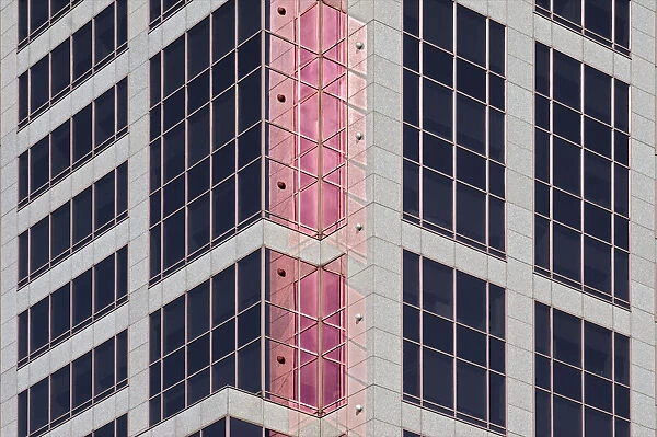 Pink Reflections