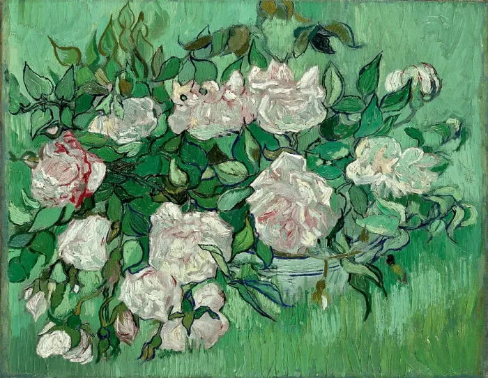 Framed Print : Pink Roses Framed Print : Pink Roses