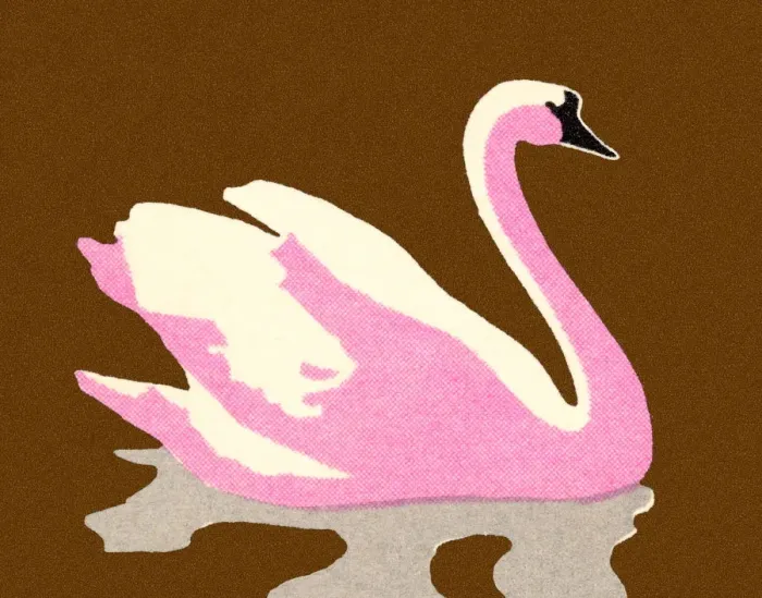Framed Print : Pink Swan. http: /  / csaimages.com / images / istockprofile / csa_vector_dsp.jpg
