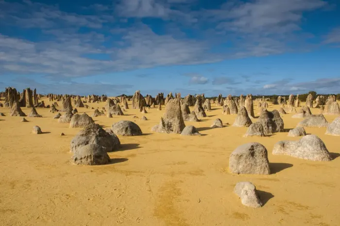 Framed Print : The Pinnacles limestone formations, Nambung National Park, Western Australia Framed Print : The Pinnacles limestone formations, Nambung National Park, Western Australia